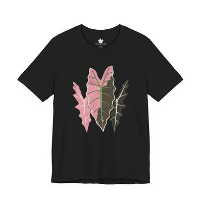 Variegated Alocasia Trio T-Shirt – Botanical Leaf Tee for Plant Lovers