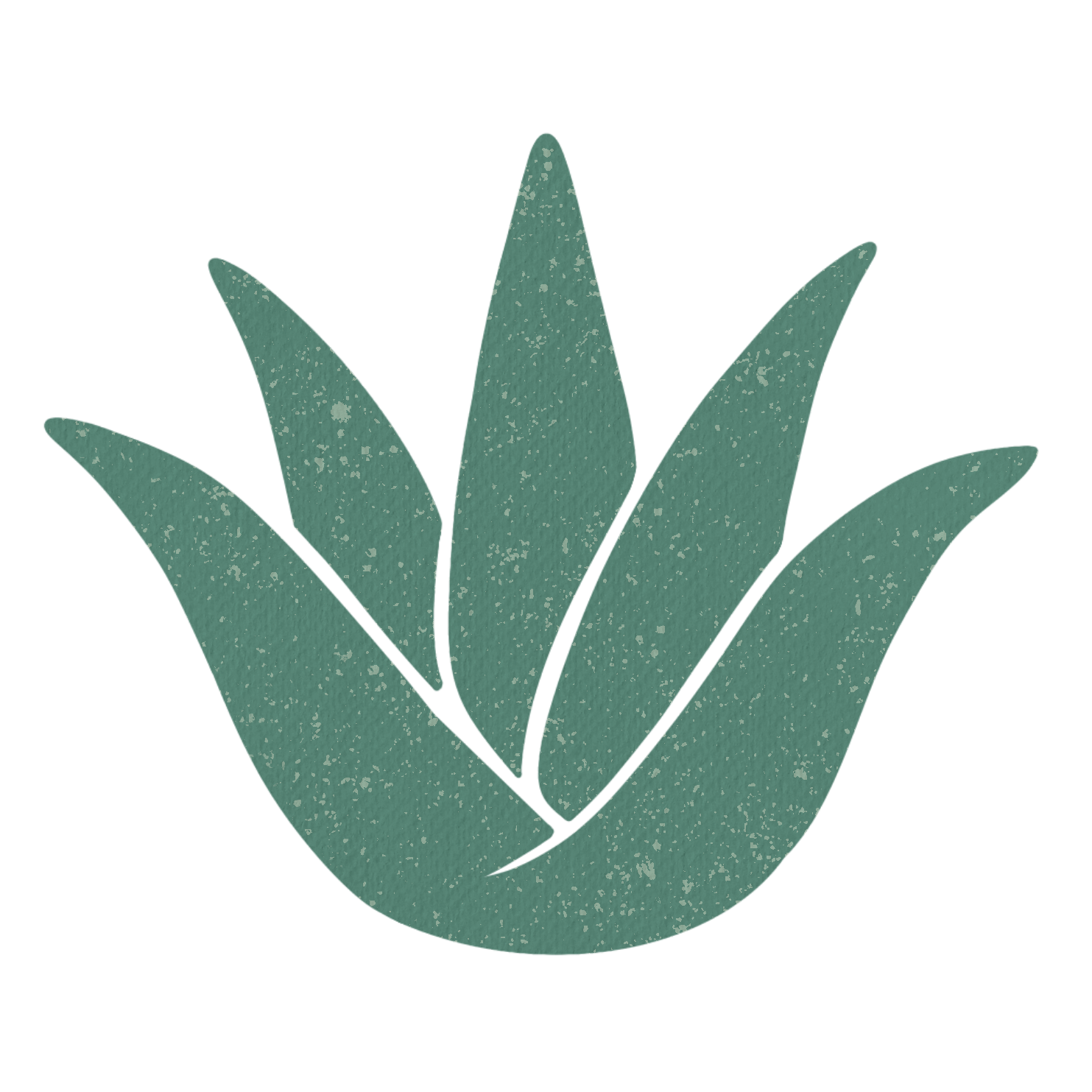 Dusty Aloe
