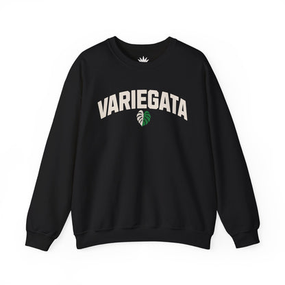 Black crewneck sweatshirt with bold white text ‘Variegata’ and variegated Monstera leaf graphic – cozy sweatshirt for rare plant collectors and houseplant lovers.